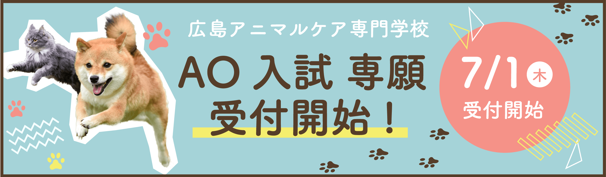 広島アニマルケア専門学校 広島で動物看護師 グルーマー ドッグトレーナーを目指すあなたの夢を強力サポート