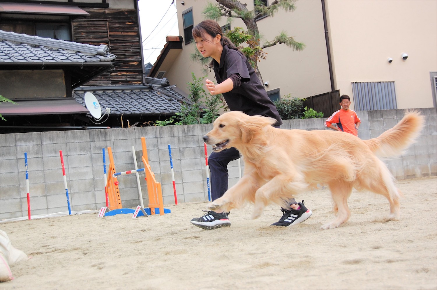 コースガイド 広島アニマルケア専門学校